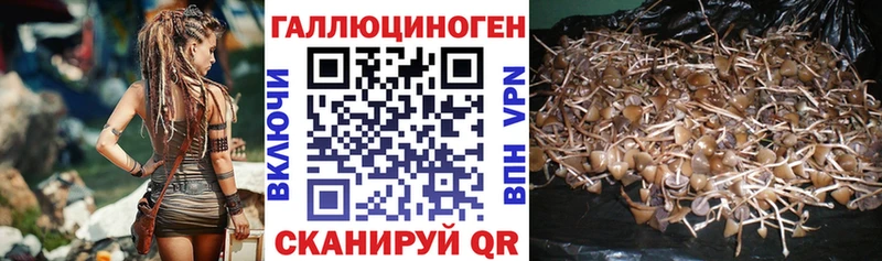 купить наркоту  Ноябрьск  Псилоцибиновые грибы MAGIC MUSHROOMS 